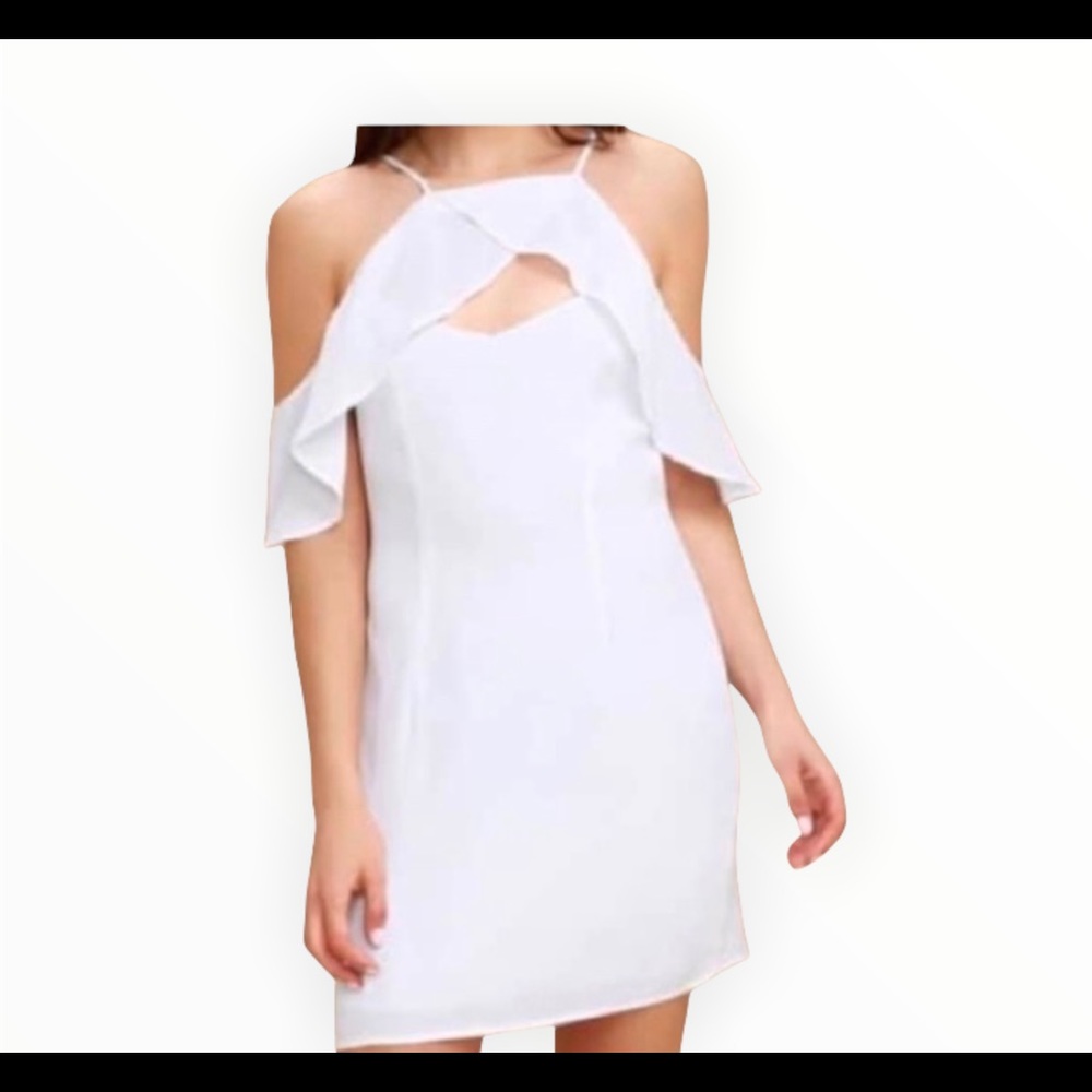 BB Dakota Kaless Dress Sz 6